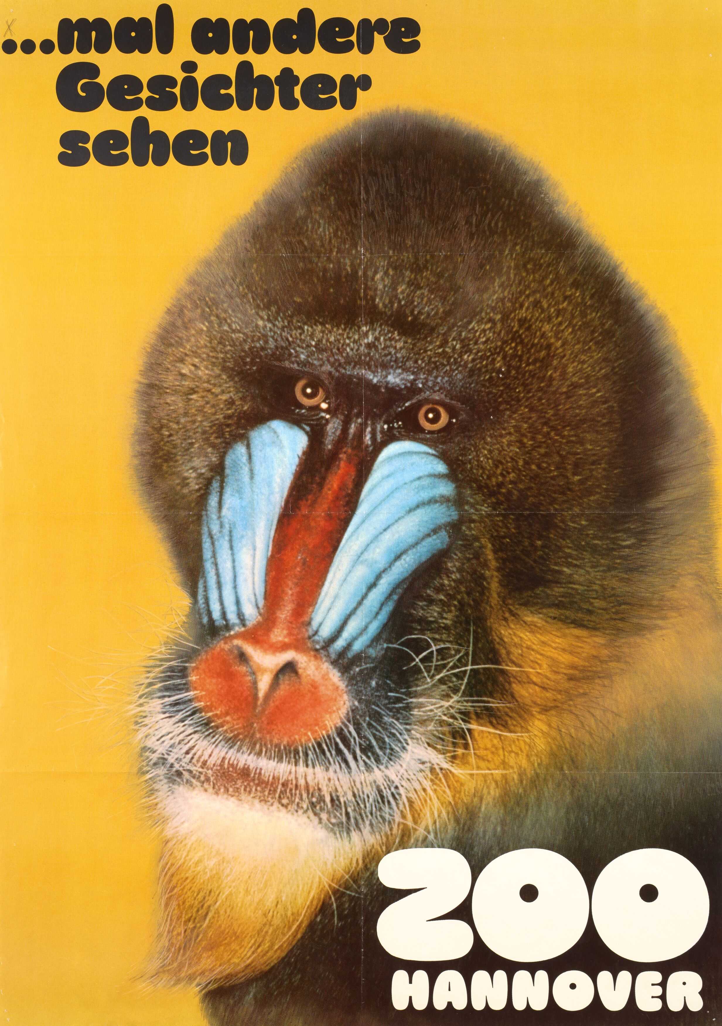1993 wurde der Zoo in eine GmbH umgewandelt und 1995 von der heutigen Region Hannover für symbolische 1 D-Mark gekauft. Das Konzept des Erlebnis-Zoos mit den verschiedenen Themenwelten wurde seit 1994 bis heute weiterentwickelt.
