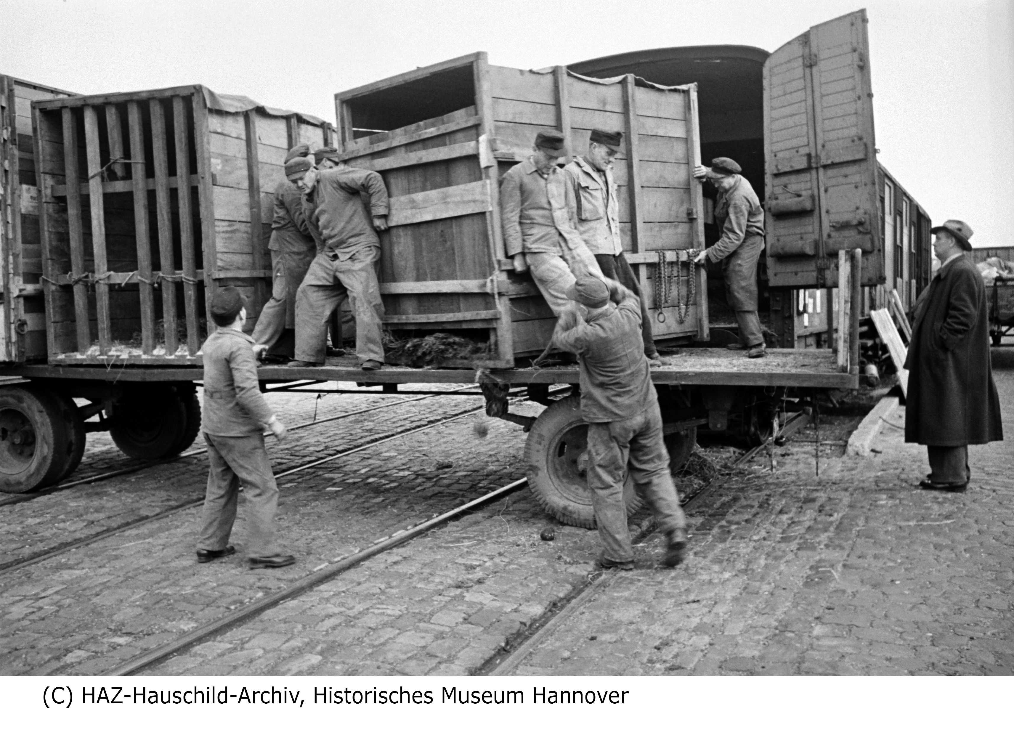 In den 60er und 70er Jahren konnte der Zoo Zuchterfolge bei seinen asiatischen und afrikanischen Elefanten verzeichnen. Auch die Affen vermehrten sich ungewöhnlich gut.